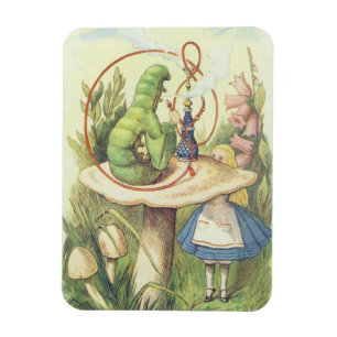 Magnet Flexible Alice rencontre la Caterpillar
