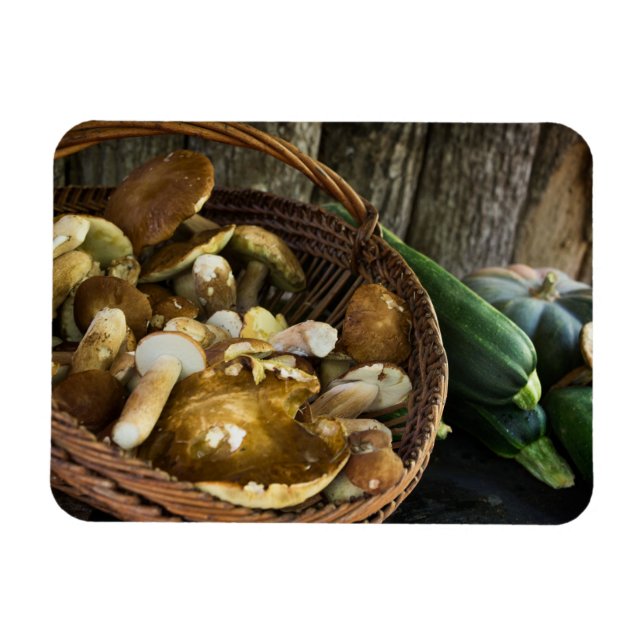 Magnet Flexible Alimentation d'automne encore vie aimant photo (Horizontal)