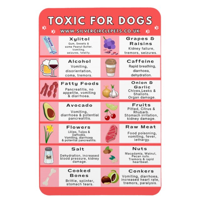 Magnet Flexible Aliments toxiques pour les chiens Aimant frigo (Vertical)