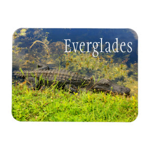 Magnet Flexible Alligator, Parc national des Everglades, Floride