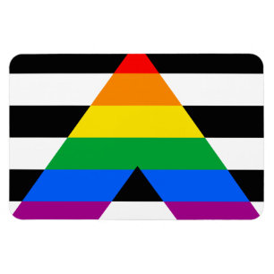 Magnet Flexible ALLY FLAG ORIGINAL -.png