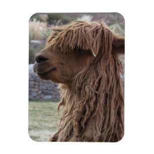 MAGNET FLEXIBLE ALPACA