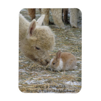 Magnet Flexible Alpaca et Bunny Kisses !