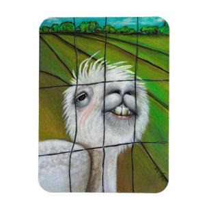 Magnet Flexible Alpaca - Petit aimant Dreamer
