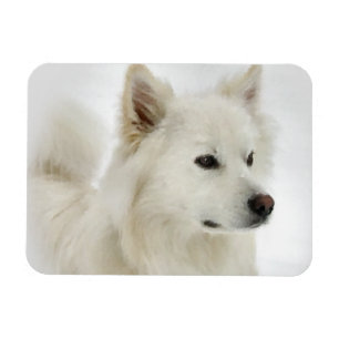 Magnet Flexible American Eskimo Dog Art