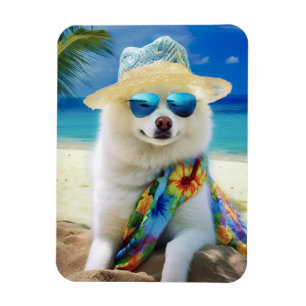 Magnet Flexible American Eskimo on Beach, cadeau d'été pour amoure