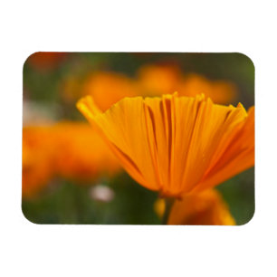 Magnet Flexible Amérique du Nord, États-Unis, Washington, Seattl