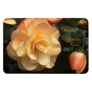 Magnet Flexible Amis pour toujours