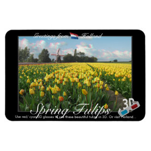 Magnet Flexible Anaglyphe de vue du paysage 3D de tulipes de la