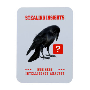 Magnet Flexible Analyste en intelligence d'affaires Crow