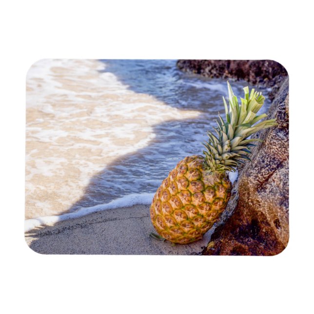 Magnet Flexible Ananas penché sur les rochers à la plage (Horizontal)