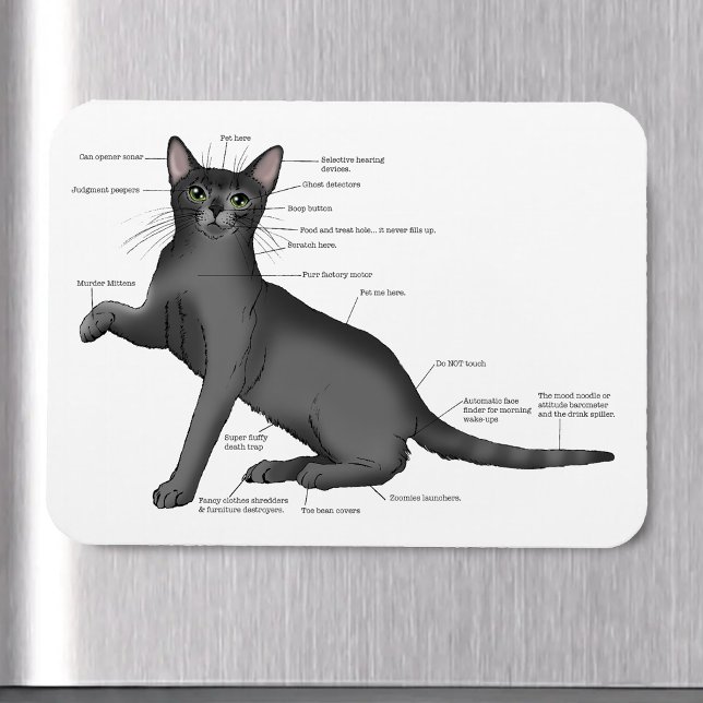 Magnet Flexible Anatomie du chat amusant (Créateur téléchargé)