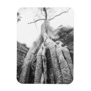 Magnet Flexible Angkor Cambodge, Arbre Ta Prohm