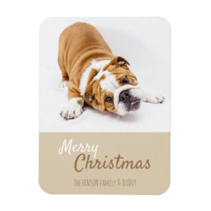 Magnet Flexible Anglais Bulldog Puppy Photo Christmas Custom