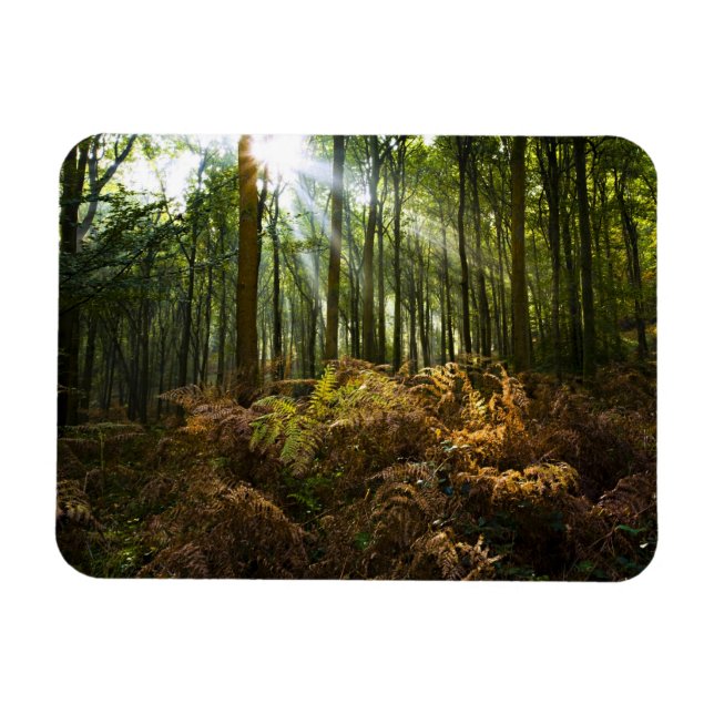 Magnet Flexible Angleterre, Angleterre. Rayons de lumière du solei (Horizontal)