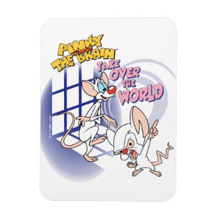 Magnet Flexible Animaniacs   Take Over The World Graphic