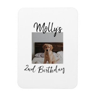 Magnet Flexible Animateur chien chat animal photo moderne simple