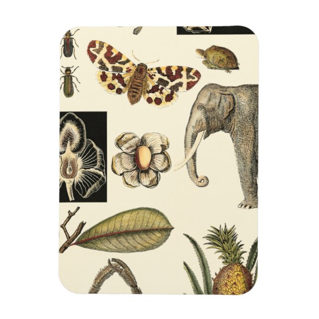 Magnet Flexible Animaux agressés peints sur Arrière - plan de crèm (Vertical)
