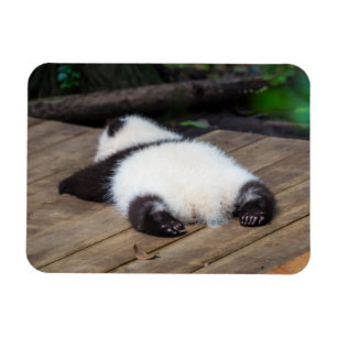 Magnet Flexible Animaux de bébés cutest   Bébé Géant Panda Dormir