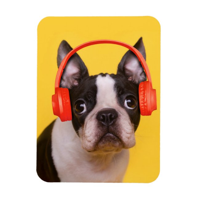 Magnet Flexible Animaux de bébés cutest | Casques Terrier de Bosto (Vertical)