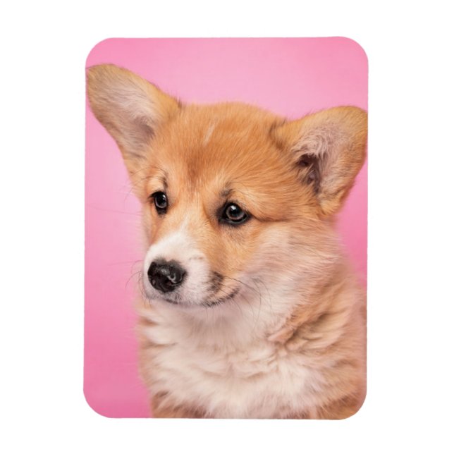 Magnet Flexible Animaux de bébés cutest | Corgi Chiot rose (Vertical)