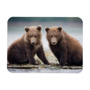 Magnet Flexible Animaux de bébés cutest Deux petits ours d'ours