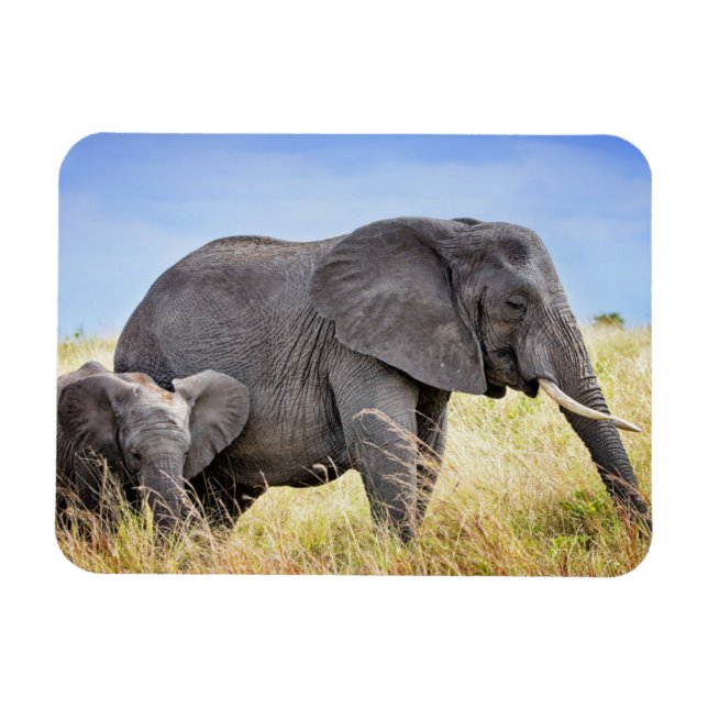 Magnet Flexible Animaux de bébés cutest | Eléphant africain et mèr (Horizontal)