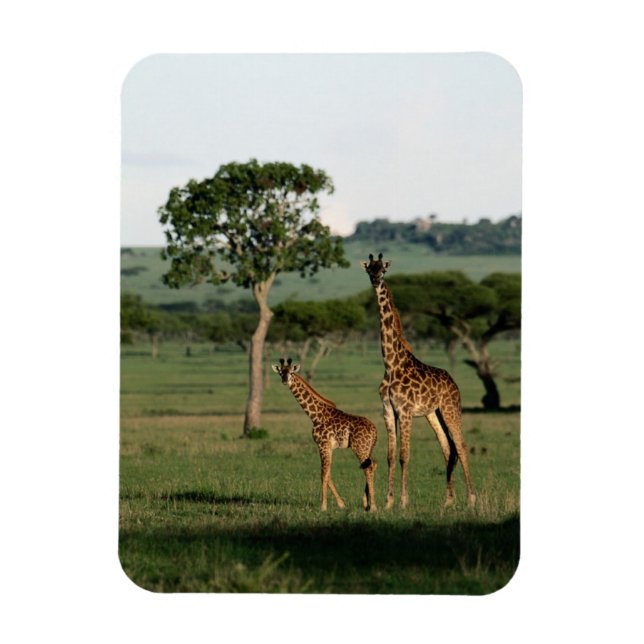 Magnet Flexible Animaux de bébés cutest | Giraffe Calf & Mama (Vertical)