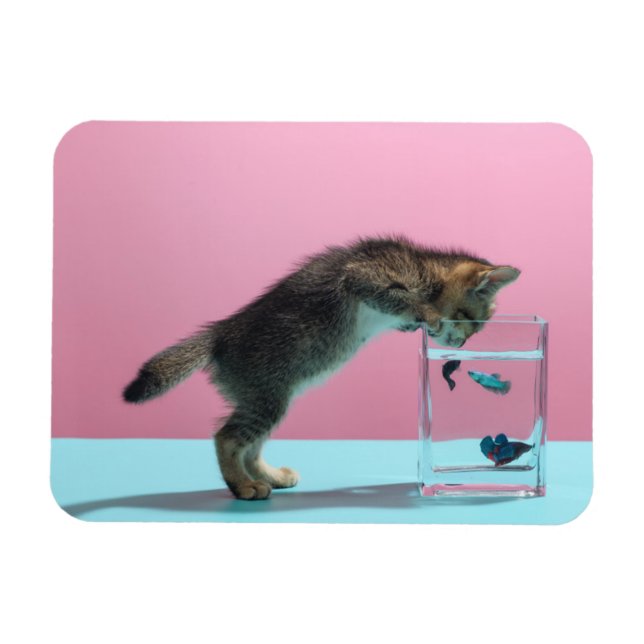 Magnet Flexible Animaux de bébés cutest | Kitten En regardant le b (Horizontal)