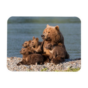 Magnet Flexible Animaux de bébés cutest   Mère Ours & Cubs