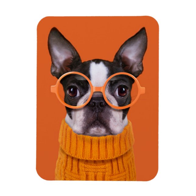 Magnet Flexible Animaux de bébés cutest | Orange Boston Terrier (Vertical)