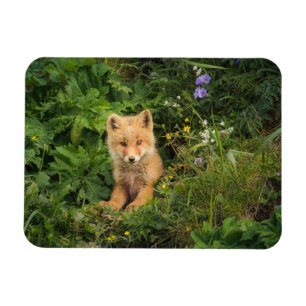 Magnet Flexible Animaux de bébés cutest Renard rouge à Umnak Ala