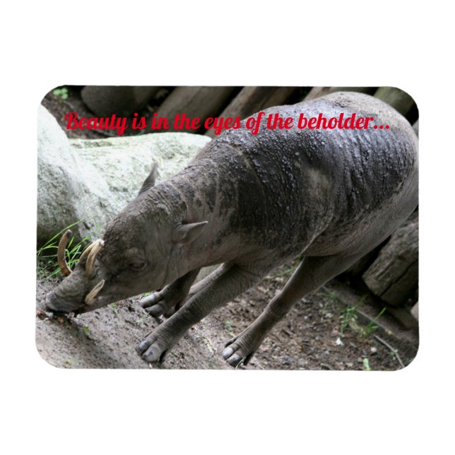 Magnet Flexible Animaux moches, Babirusa (Horizontal)