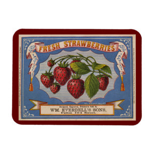 Magnet Flexible Annonce vintage pour fraises fraîches vers 1868 Po