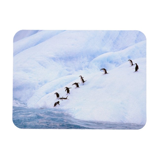 Magnet Flexible Antarctique, péninsule Antarctique. Écran (Horizontal)