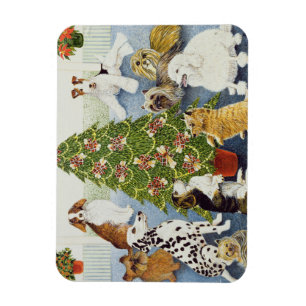 Magnet Flexible Anticipation