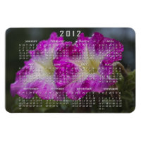 Après l'aimant Premium du calendrier de pluie