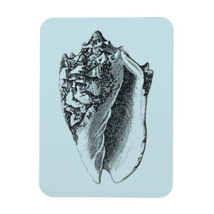 Magnet Flexible Aqua Conch Shell