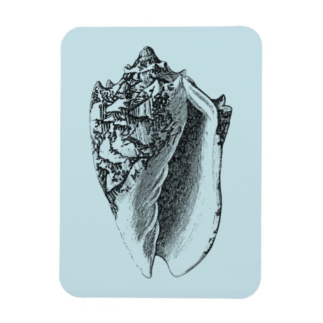 Magnet Flexible Aqua Conch Shell (Vertical)