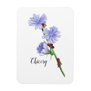 Magnet Flexible Aquarelle à fleurs chicorées