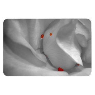 Magnet Flexible Aquarelle éolienne Aimante flexible