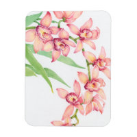 Aquarelle Fleurs roses