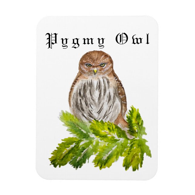 Magnet Flexible Aquarelle Saw Whet Cute Little Owls (Vertical)