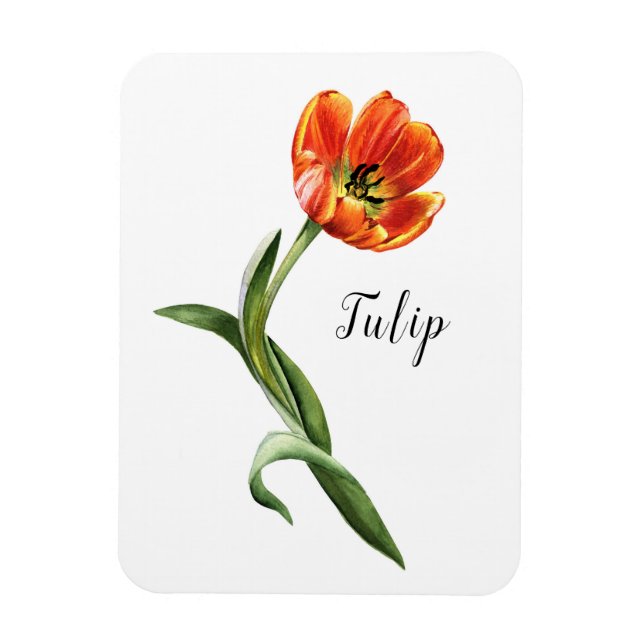 Magnet Flexible Aquarelle Tulip Floral (Vertical)