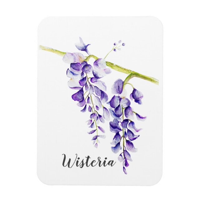 Magnet Flexible Aquarelle Wisteria Botanique (Vertical)