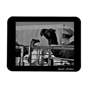 Magnet Flexible Arabie saoudite