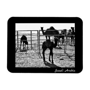 Magnet Flexible Arabie saoudite