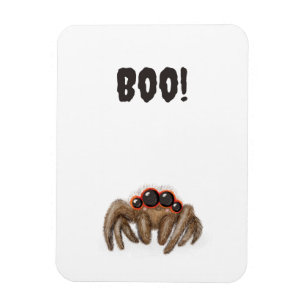 Magnet Flexible Araignée éffrayante "Boo !" Aimant d'Halloween