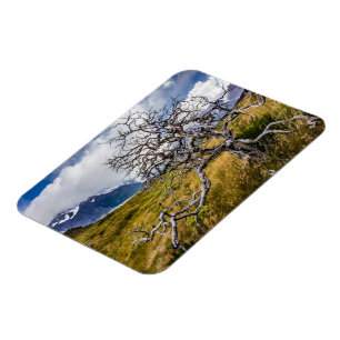 Magnet Flexible Arbre brûlé, Torres del Paine, Chili
