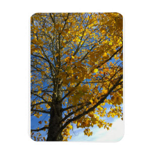 Magnet Flexible Arbre d'automne jaune